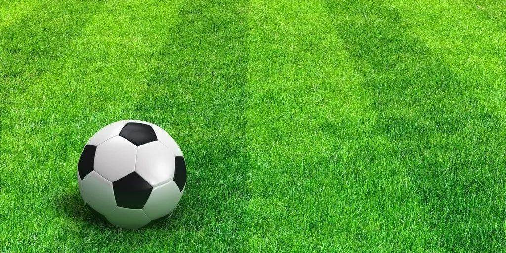 专业分析师数据研究